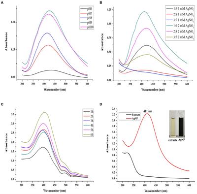 Green synthesis of silver nanoparticles from Mahonia fortunei extracts and characterization of its inhibitory effect on Chinese cabbage soft rot pathogen